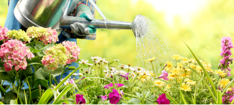 如何在夏天为你的花园节水